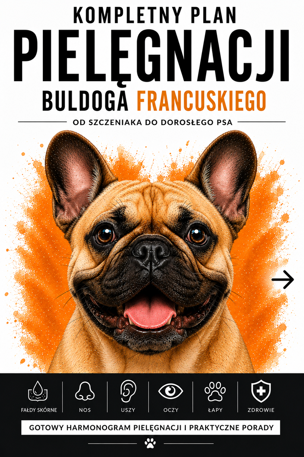 Plan pielęgnacyjny Buldoga Francuskiego
