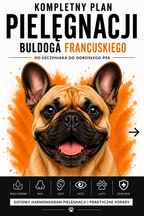 Plan pielęgnacyjny Buldoga Francuskiego