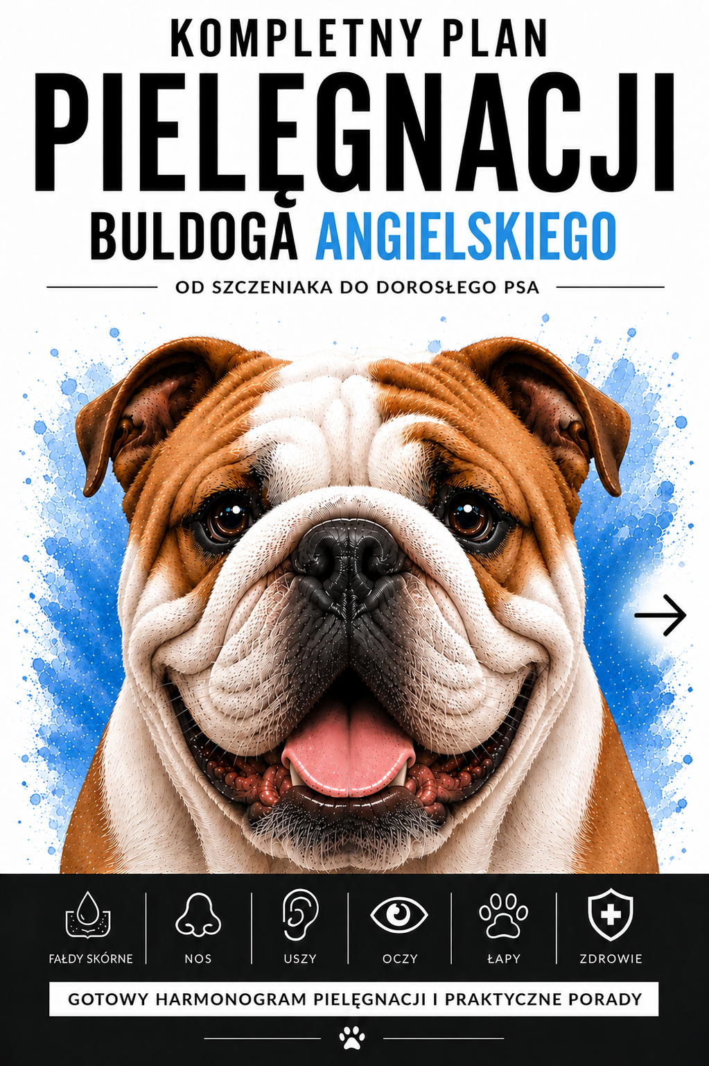 Plan Pielęgnacyjny Buldoga Angielskiego