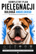 Plan Pielęgnacyjny Buldoga Angielskiego