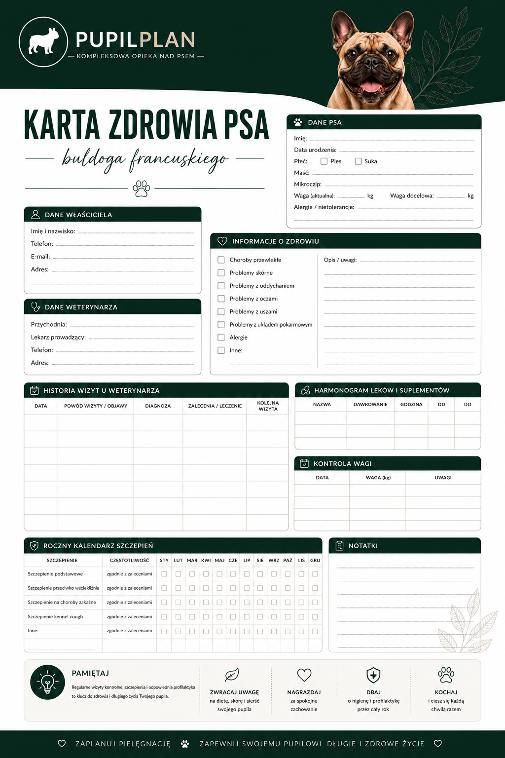 Plan pielęgnacji buldoga Francuskiego