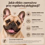 Kompletny zestaw pielęgnacyjny dla Twojego Buldoga !