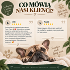 Kompletny zestaw pielęgnacyjny dla Twojego Buldoga !