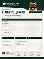 Plan pielęgnacji buldoga Francuskiego
