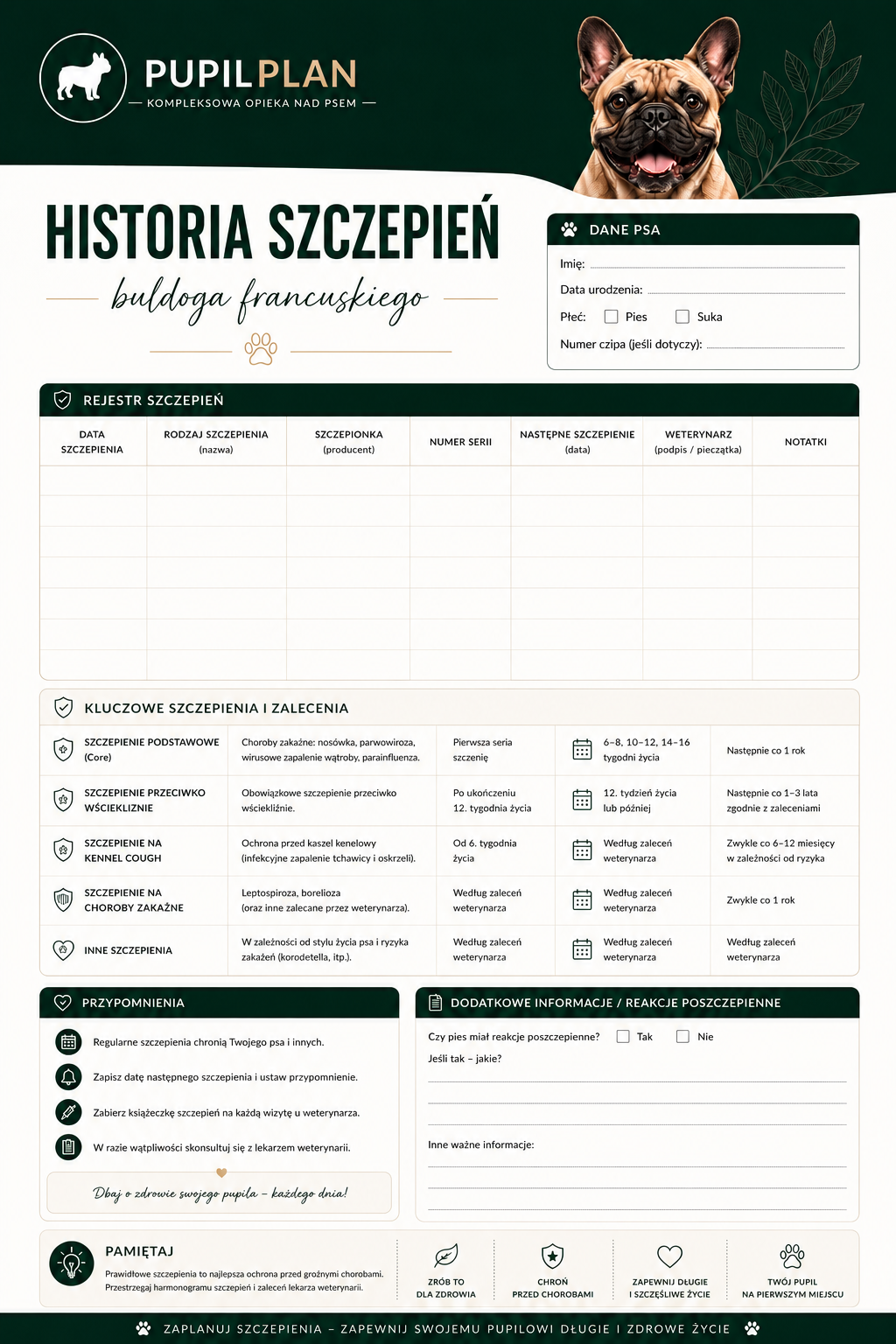 Plan pielęgnacji buldoga Francuskiego