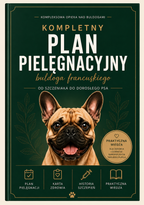 Plan pielęgnacji buldoga Francuskiego