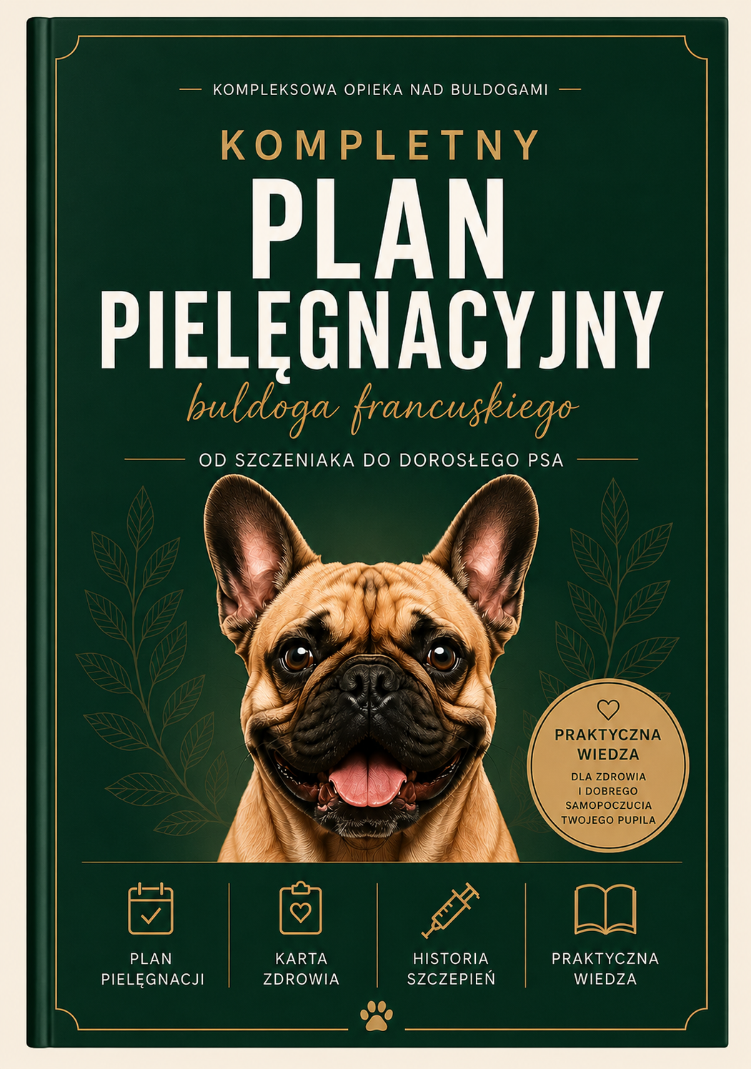 Plan pielęgnacji buldoga Francuskiego